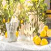 Crystal Limoncello Cordial Glasses | Set of 4 | Tall 3.3 oz Long Stemmed Spirit Glassware for Sipping Aromatic Liquor, After Dinner Drink, Aperitif, Digestive | Elegant Tulip Shaped Stemware view 4