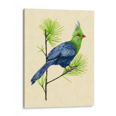 Canvas Lab | Green Turaco I by Melissa Wang | 15 x 20 in | Canvas Print Wall Art | Animals, Nature, Nature and animals, Wildlife | Wall Decor for Bedroom, Living Room or Office