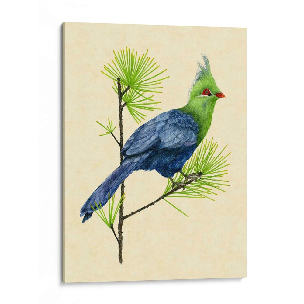 Canvas Lab | Green Turaco I by Melissa Wang | 15 x 20 in | Canvas Print Wall Art | Animals, Nature, Nature and animals, Wildlife | Wall Decor for Bedroom, Living Room or Office