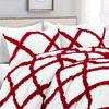 5PC Two-Tone Diamond Ruffles Duvet/Comforter Cover Set, 100% Egyptian Cotton & 400 Thread Count Set, Luxury & Stylish Dual-Color Quilt Covers - Burgundy/White Solid, King Size. view 3