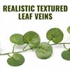Fun Express Eucalyptus Garland String Lights - 3 Pieces view 3