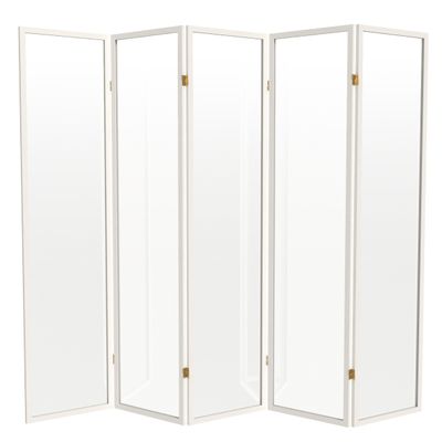 Red Lantern 6 ft. Tall Clear Plastic Partition White 5 Panel