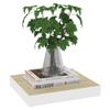 QZZCED Floating Shelves,Wall Storage Shelves,Wall Mounted Shelf Organizer Unit Display Shelf,Invisible Mounting System,Awards,Book,Collectibles,Ornaments,2 pcs Oak and White 9.1"x9.3"x1.5" MDF view 3