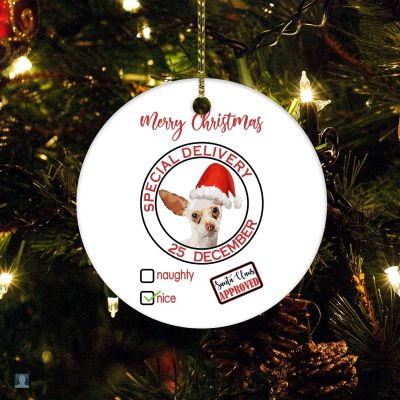 Santa's Special Delivery Ornament Child Presents from Parents Grandparents Santa 2022 Ornament 2022 Xmas Trees Decorations Keepsake Gifts
