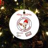 Santa's Special Delivery Ornament Child Presents from Parents Grandparents Santa 2022 Ornament 2022 Xmas Trees Decorations Keepsake Gifts view 1