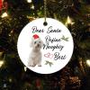 Christmas Ornament Dear Santa Define Naughty Holiday Present Pet Dog Lover Gift Funny Sayings Words Xmas Tree Decorations Flat Circle Ceramic Ornament 3 Inch view 1
