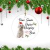 Christmas Ornament Dear Santa Define Naughty Holiday Present Pet Dog Lover Gift Funny Sayings Words Xmas Tree Decorations Flat Circle Ceramic Ornament 3 Inch view 3