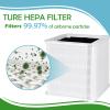 Carmerny Blue Pure 211+ True HEPA Replacement Filter Compatible with Blueair Blue Pure 211+ and Max Air Cleaner Purifier, 2 Pack view 2