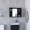 Hops Medicine Cabinet, Double Door, Mirror, One External Shelf, Black wengue Finish view 3
