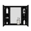 Hops Medicine Cabinet, Double Door, Mirror, One External Shelf, Black wengue Finish view 4