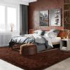HOMORE Living Room Rug 5 x 7 Area Rug, Brown Rugs for Living Room Bedroom, Large Fluffy Rugs Super Soft Carpet for Kids Room Classroom Dorm Home view 4
