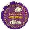 Feng Shui Success Luck Vibrations Compact 2-Sided Purse Mirror Best Wishes, Mascot New Year's Gift (Double DragonsLuck) view 2