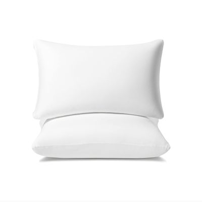 AM AEROMAX 12  20 Pillow Insert (Pack of 2) Memory Foam Lumbar Support Throw Pillow Sham Rectangular for Decorative Cushion Bed Couch Sofa Without Deform After Longtime Use
