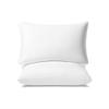 AM AEROMAX 12  20 Pillow Insert (Pack of 2) Memory Foam Lumbar Support Throw Pillow Sham Rectangular for Decorative Cushion Bed Couch Sofa Without Deform After Longtime Use view 1