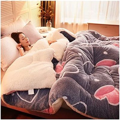 Pealihuy Comforter, Duvet Quilt - Thicken Lamb Cashmere Blanket, All Seasons Machine Washable Quilted Duvet Insert,D,200x230cm4kg