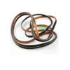 GLOB PRO SOLUTIONS AP6015470 PS11748749 EAP11748749 PD00003839 CKD5621 Drive Belt view 3