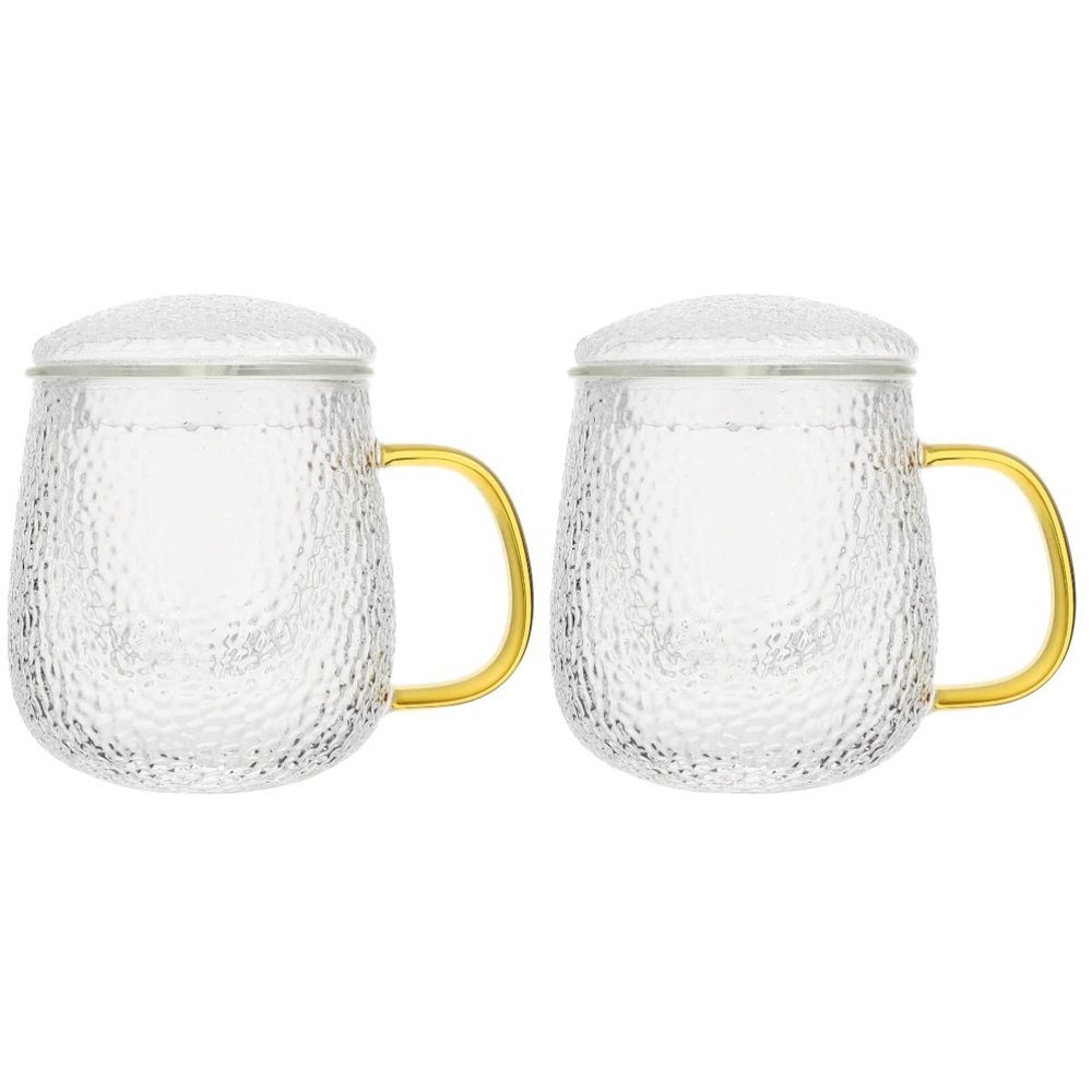 DEPILA 2 pieces Glass Tea Cup tea cup with filter glass teapot with filter glass tea mug with Lid and Cups