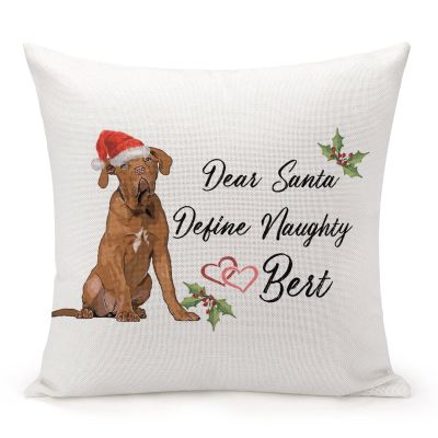 TiuKiu Dog English Pointer Christmas Pet Dog Lover Gift Decorative Throw Pillow Case Dear Santa Define Naughty Square Cushion Cover Pillowcase for Couch Sofa Bedroom Decor 24"x24"