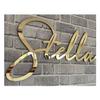 Custom Acrylic Name Sign, Laser Cut Living Room Decor Party Decoration Baby Name Sign Nursery Decor Mirror Gold Sign Choose Your Font (15.5"/40cm, Glossy Black) view 1