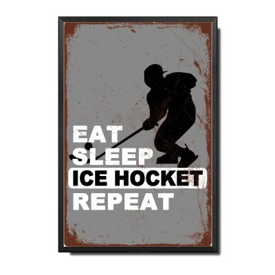 Ymyoo Metal Sign Tin Sign Vintage Wall Art Eat Sleep Ice Hocket Repeat Sport Wall Art Ball Lover Sign Funny Garden Signs for Home Decor 1216 Inches with Metal Frame