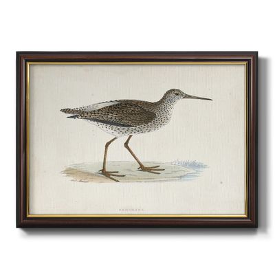 Renditions Gallery Canvas Nature Wall Art Black Walnut Frame Paintings Quiet Sandpiper Walk Modern Decorations Wall Hanging for Bedroom Dining Living Room Office Home Kitchen Artwork - 16"x20"