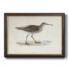 Renditions Gallery Canvas Nature Wall Art Black Walnut Frame Paintings Quiet Sandpiper Walk Modern Decorations Wall Hanging for Bedroom Dining Living Room Office Home Kitchen Artwork - 16"x20" view 1