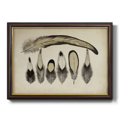 Renditions Gallery Canvas Wall Art Home Paintings & Prints Vintage Feather Family Glam Black Walnut Frame Modern Decor for Bedroom Dining Living Room Office Home Kitchen Wall Hanging - 16"x20"