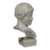 Apollon of Olympia Bust Head Greek Roman Statue Sculpture Hard Plaster Olympia view 3