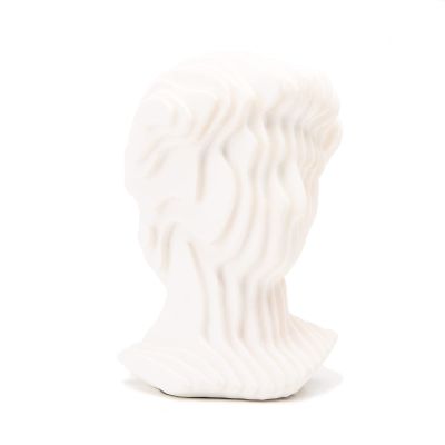 BRABUD Greek David Man Bust Statue White Classic Roman Sculpture Abstract Modern Art Home Office Study Room Bookshelf Decor Collectible Gift TQGJBS351