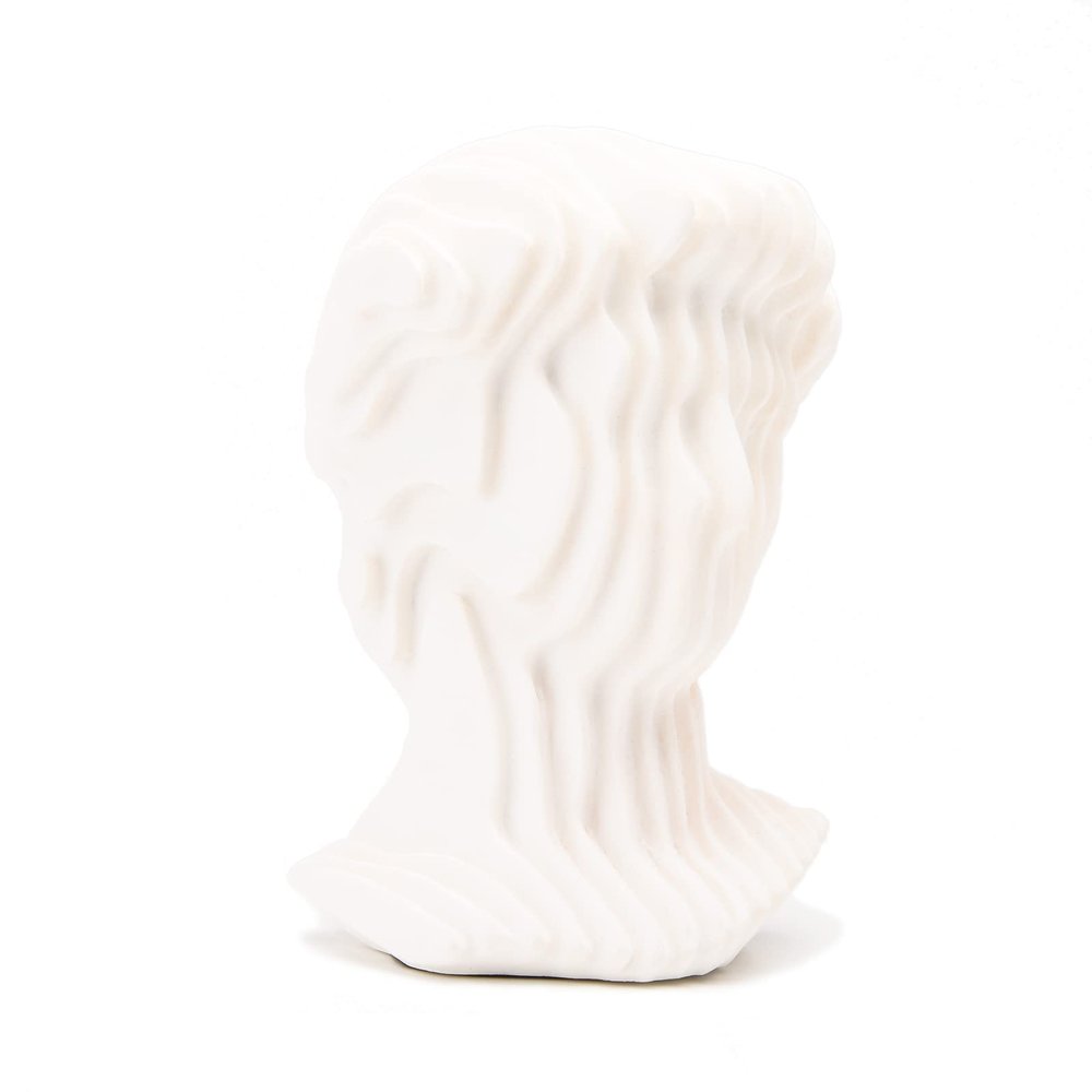 BRABUD Greek David Man Bust Statue White Classic Roman Sculpture Abstract Modern Art Home Office Study Room Bookshelf Decor Collectible Gift TQGJBS351