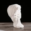 BRABUD Greek David Man Bust Statue White Classic Roman Sculpture Abstract Modern Art Home Office Study Room Bookshelf Decor Collectible Gift TQGJBS351 view 4