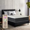 Treaton 14-Inch Luxury Foam Encased Firm Hybrid Mattress, Pocket Coil Springs for Motion Isolation & Pressure Relief, Strong Edge Support, High Density Foam, 2" Fluffy Quilted Top, Queen, Black view 1