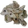 Seaside Treasures Oyster Giants | Oyster Shells 2" - 4" | 30 Oyster Shells for Arts Crafts and Dcor view 1