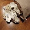 Seaside Treasures Oyster Giants | Oyster Shells 2" - 4" | 30 Oyster Shells for Arts Crafts and Dcor view 2
