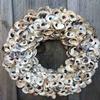 Seaside Treasures Oyster Giants | Oyster Shells 2" - 4" | 30 Oyster Shells for Arts Crafts and Dcor view 3