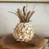 Seaside Treasures Oyster Giants | Oyster Shells 2" - 4" | 30 Oyster Shells for Arts Crafts and Dcor view 4