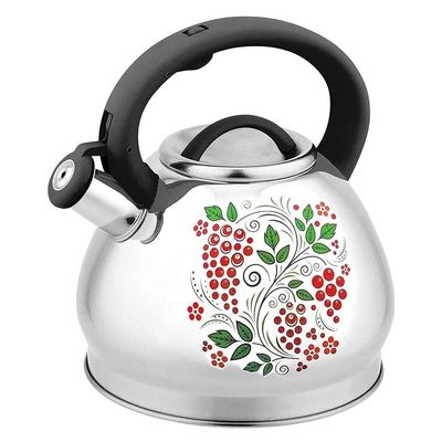 Donald 3L Stovetop Kettle for All Kinds of Stoves Whistling Kettle Teapot Stainless Steel Camping Kettle with Ergonomic Handle (Color : C)