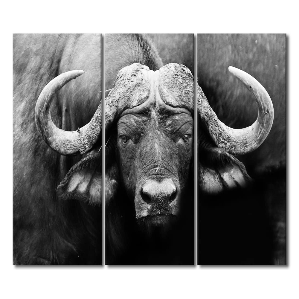 3 Panels Black and White Animals Canvas Painting House Decoration Buffalo Wall Art Wildlife Home Decor for Living Room Bedroom Cattle Gazing Poster Pictures Modern Office Wall Dcor (60"Wx40"H)