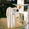 Beavorty Stainless Steel Sock Rack 20 Clips Drying Socks Bras Clothes Underwear Hanging Clips view 3
