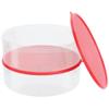 2 Pack Pie Carrier Cake Storage Container with Lid | 10.5" Large Round Plastic Cupcake Cheesecake Muffin Flan Cookie Tortilla Holder Storage Containers Airtight | Pie Keeper Transport Container view 3