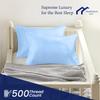 Toddler Travel Small Pillow case 12"x16" Zipper Set of 2 Small Pillow Cases 500 Thread Count 100% Soft Egyptian Cotton Decorative Nursery Travel Pillow Cover 12x16 Inch, Light Blue view 3