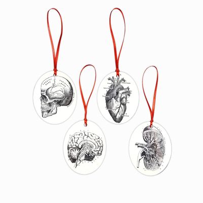 Anatomical Heart Skull Kidney Brain Christmas Ornament Set of 4