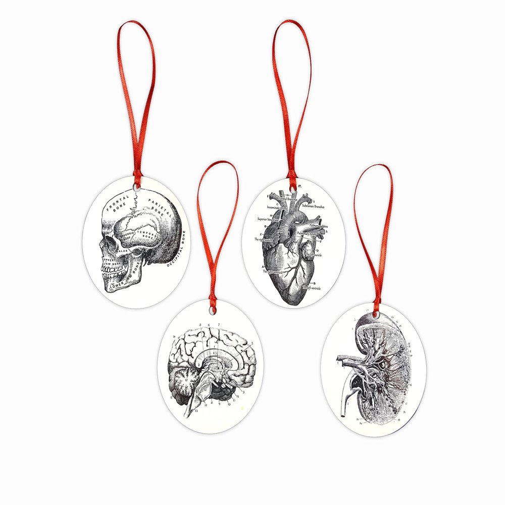 Anatomical Heart Skull Kidney Brain Christmas Ornament Set of 4