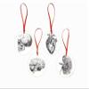 Anatomical Heart Skull Kidney Brain Christmas Ornament Set of 4 view 1