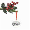 Anatomical Heart Skull Kidney Brain Christmas Ornament Set of 4 view 3