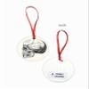 Anatomical Heart Skull Kidney Brain Christmas Ornament Set of 4 view 4