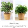 Alipis 3 Pcs Rustic Woven Straw Flowerpot with Plastic Liner for Indoor Succulent Holder, Home Decor, Storage Basket, and DIY Floral Arrangement, Khaki, 4.33 X 4.33 X 11.22 Inch view 2