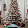 Christmas Tree Skirt Thanksgiving Pumpkins Texts on Black Holiday Tree Ornaments 4ft Teal Orange Pumpkin Xmas Trees Mat Home Decoration for Indoor Outdoor Party view 4