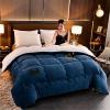 Pealihuy Winter Duvet,Winter Quilt,Lamb Cashmere Blanket, Thicken Lamb Cashmere Blanket Winter, Super Soft and Warm Hollowfiber Filled Quilt,Blue,150200CM 2.5kg view 2