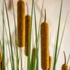 VNABO Fake Trees Ornamentsartificial Trees Cattails Greeneryartificial Floor Plants Home Office Farmhouse Garden Decor Faux Tree Elegant and Portable view 2